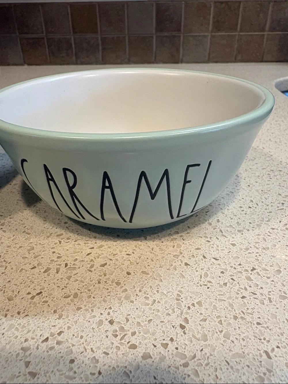 Rae Dunn Teal & Mint 'FUDGE' & ‘CARAMEL' Ceramic Bowls with Ice cream Shovels